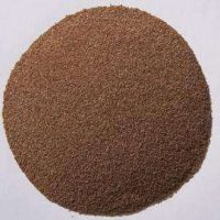 草坪夏季草交播狗牙根，矮生百慕大季節(jié)來臨，提前預(yù)備種子