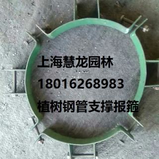 大樹報(bào)箍，植樹支撐報(bào)箍，鋼支撐報(bào)箍